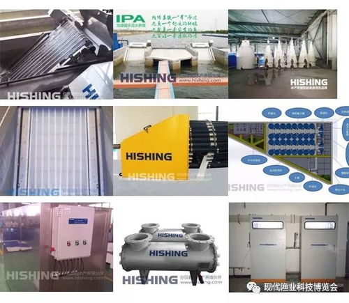 智能科技引領漁業新篇章 無人艇、增氧機、循環水與自動喂料設備亮相現代漁業科技博覽會